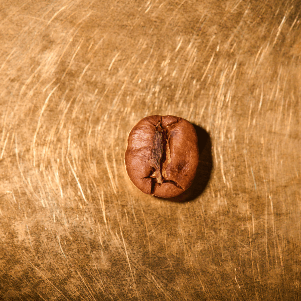 Photo of Mocca Matari | 250G | French Press | 0102YE011025FP